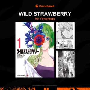 09_12_2024_Annonce_Crunchyroll_Wild_Strawberry_image01