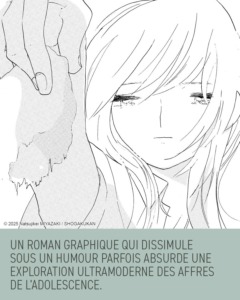 18_06_2025_Annonce_Lézard_Noir_Golden_Yukiko_image03 18_06_2025_Annonce_Lézard_Noir_Golden_Yukiko_image03