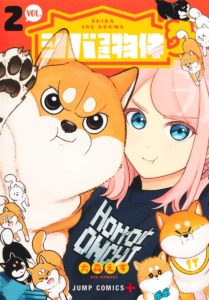 26_12_2025_Annonce_Doki_Doki_Shiba_Inu_Rooms_image03 26_12_2025_Annonce_Doki_Doki_Shiba_Inu_Rooms_image03